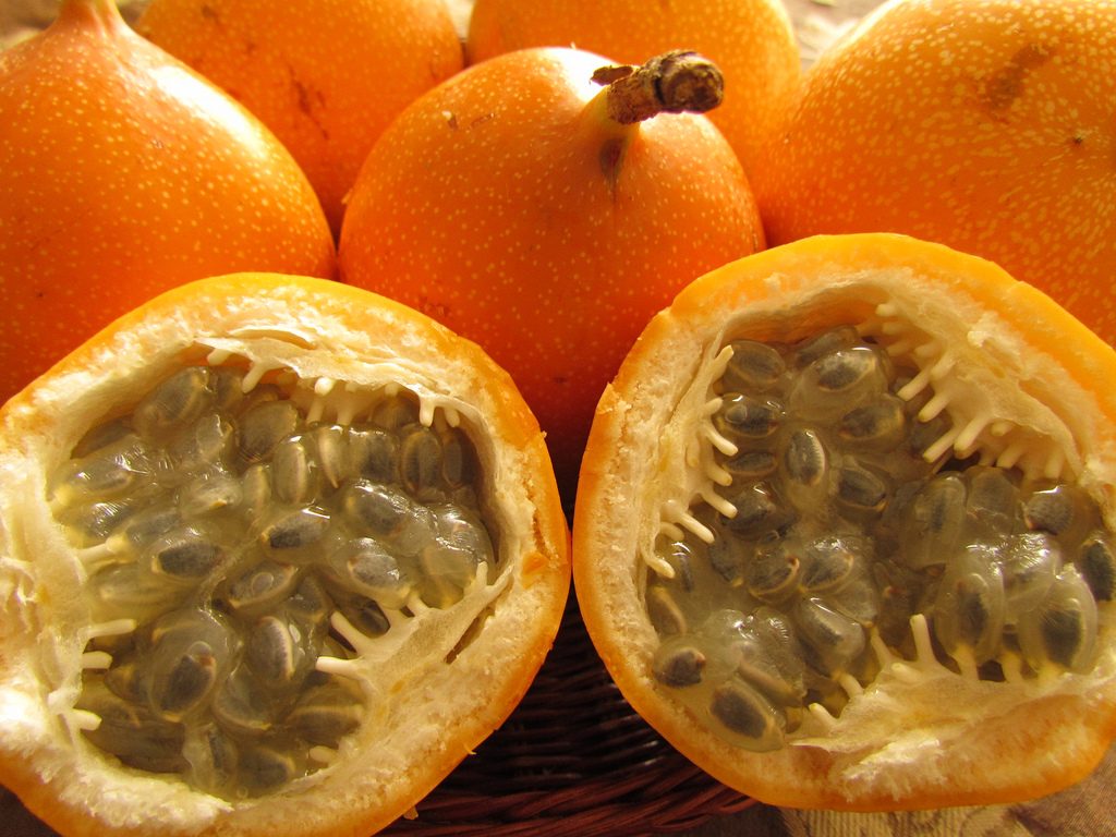 Conichef - Frutas exóticas: Conheça 8 frutas raras no Brasil - Granadilla