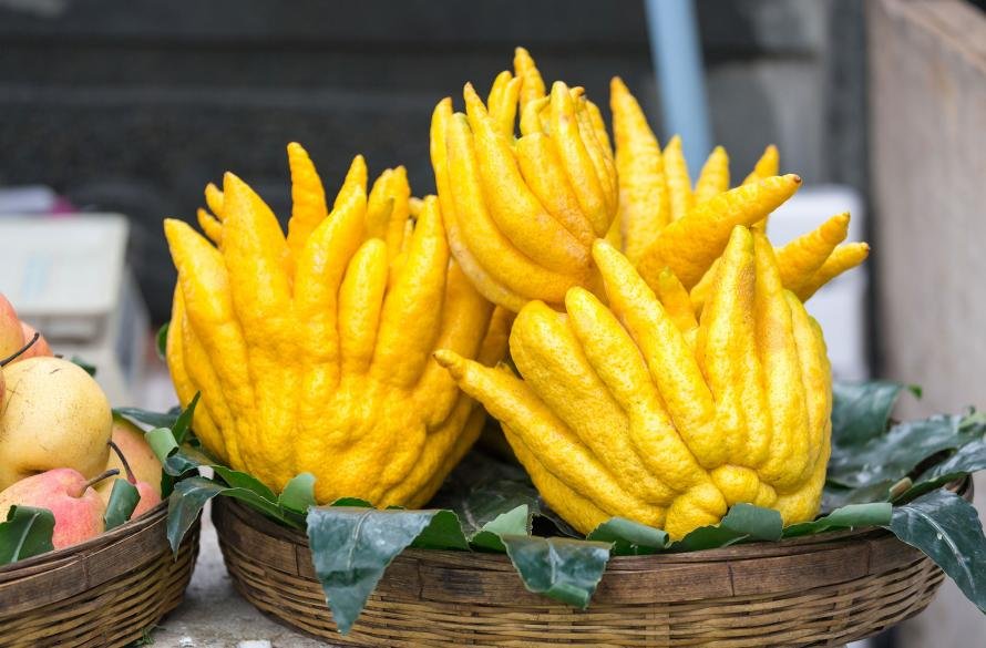 Conichef - Frutas exóticas: Conheça 8 frutas raras no Brasil - Fruta mão de Buda